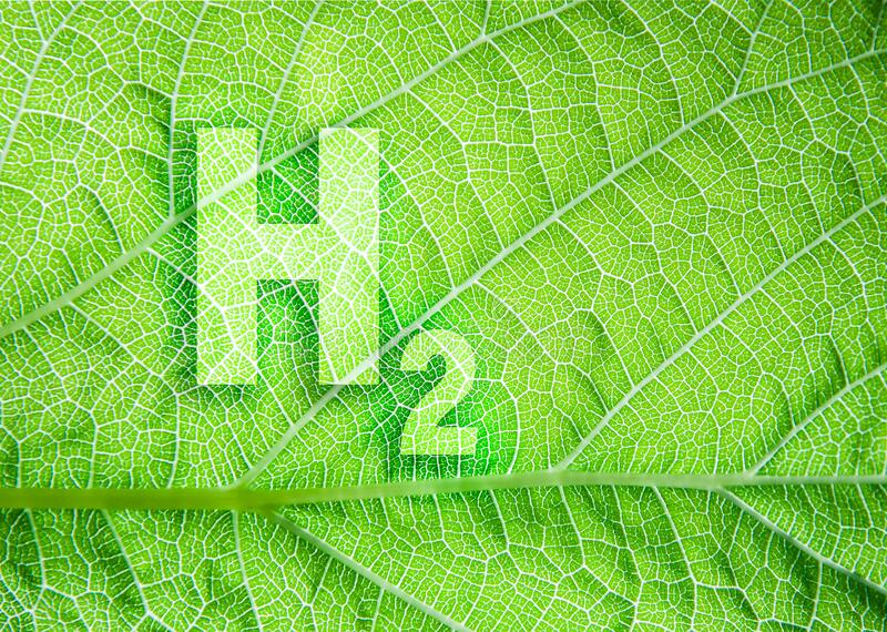 green-hydrogen-energy-symbol-leaf-texture-ecological-concept-sustainable-alternative-to-fossil-fuels-211499487